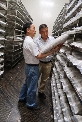 上海食用菌产业技术体系首席专家赴山东考察双孢蘑菇工厂化生产